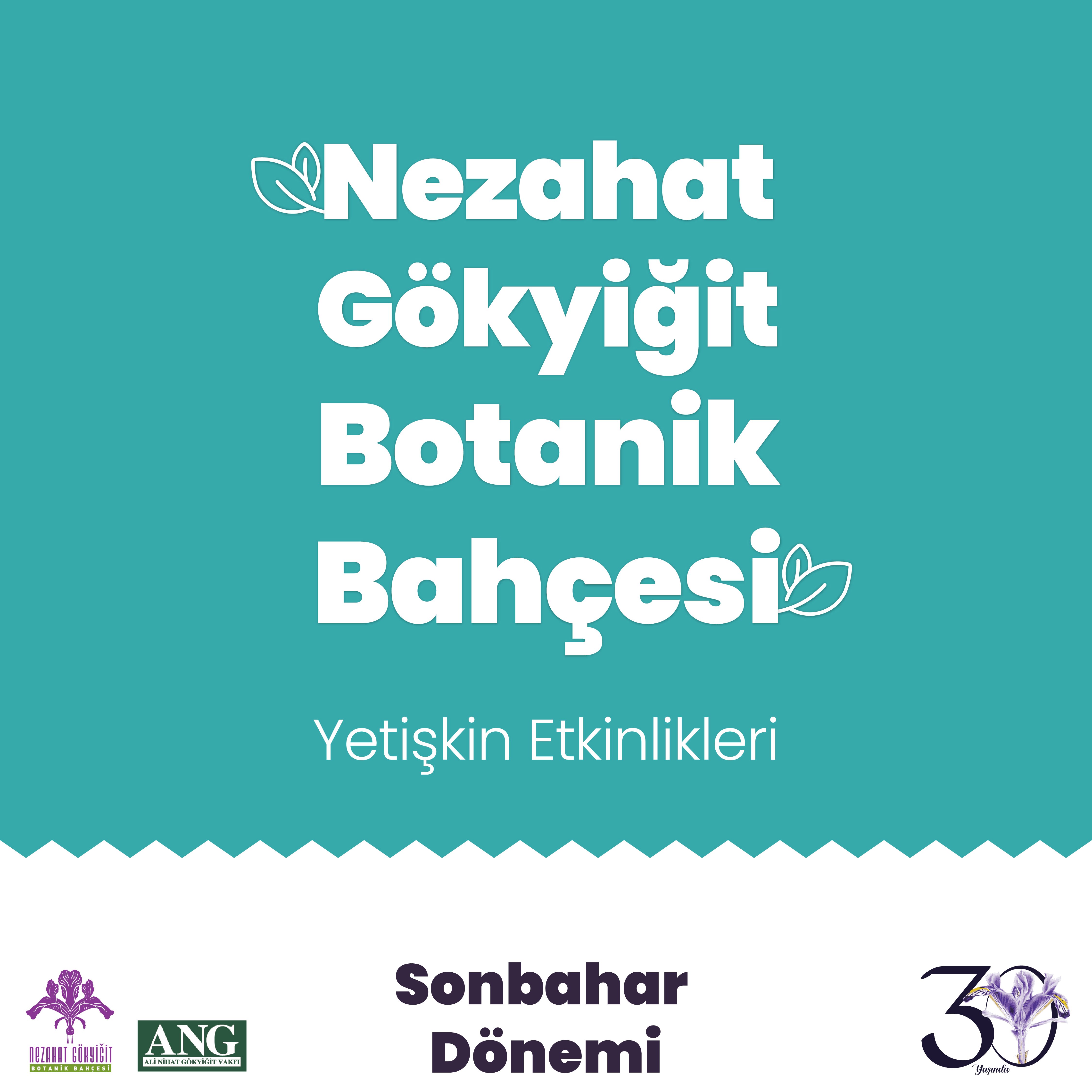 NGBB’de Uygulamalı Eğitimler