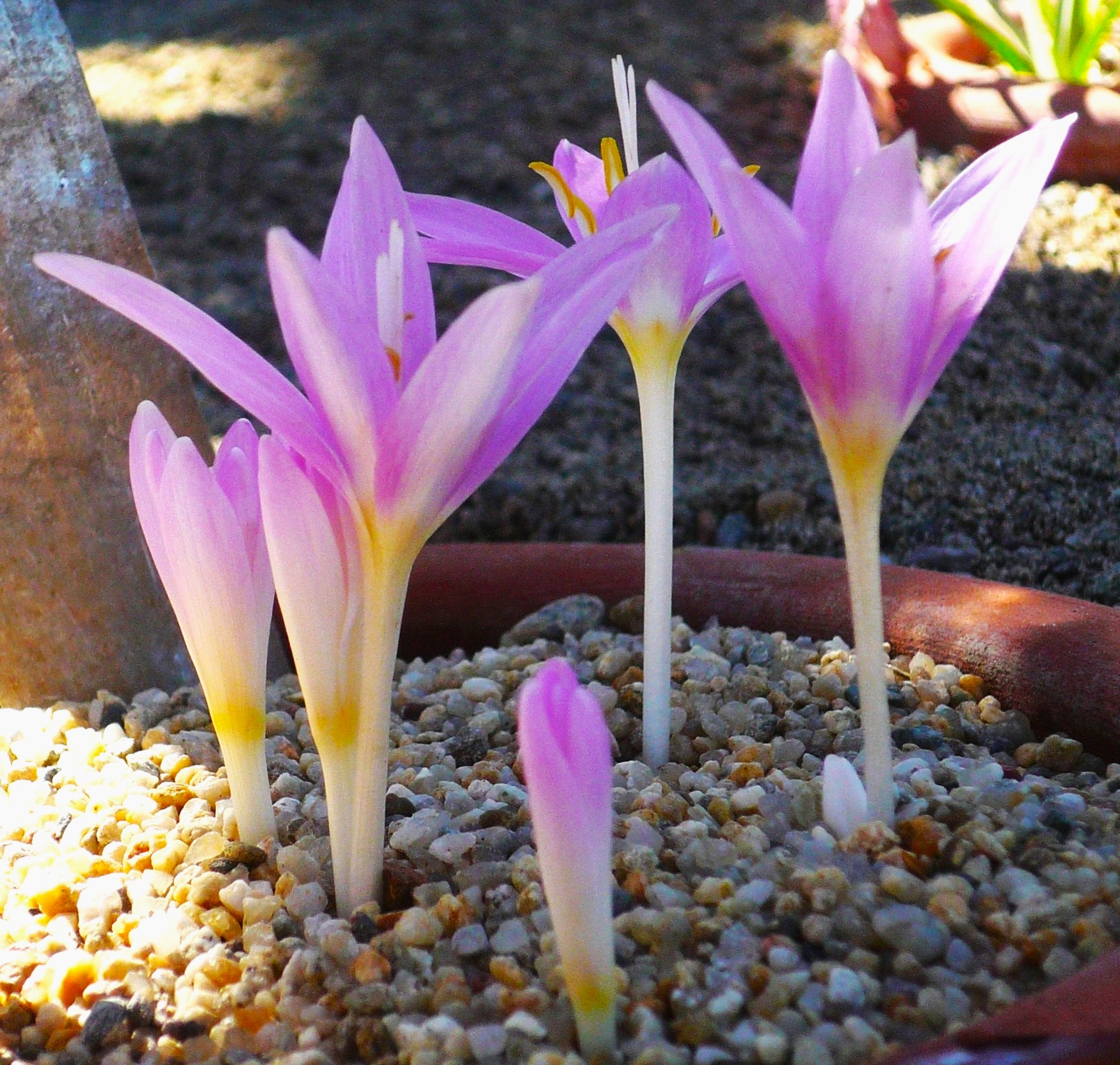 NGBB’de Uygulamalı Eğitimler