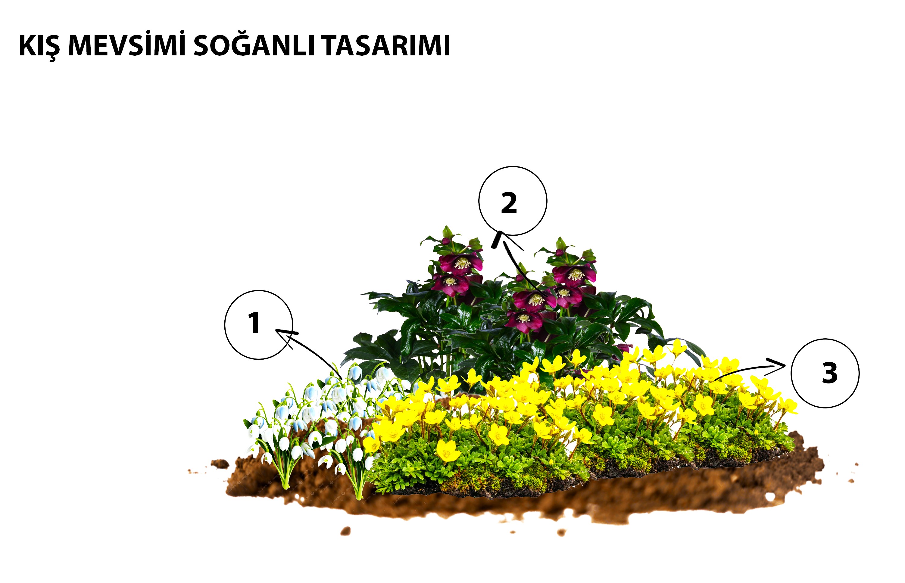 NGBB’de Uygulamalı Eğitimler